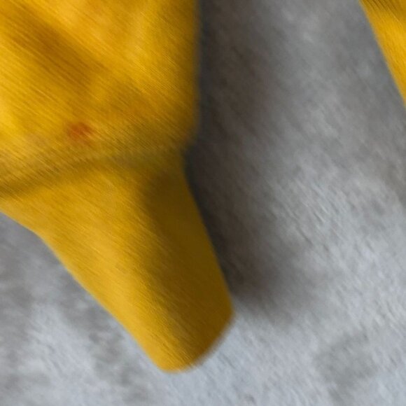 Champion Men's Reverse Weave Hoodie Sweatshirt Medium Reverse Weave Triple Scrip - Picture 9 of 11